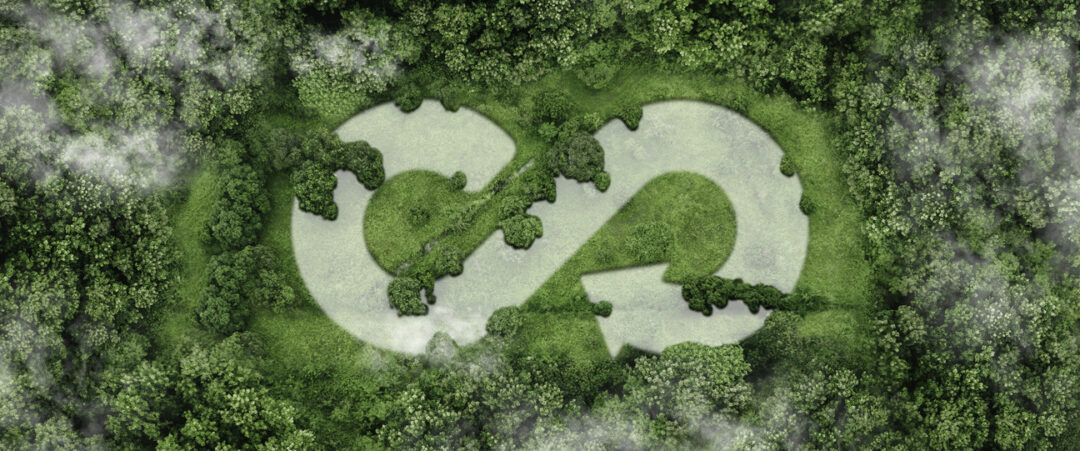 Circular Economy in the Energy Sector